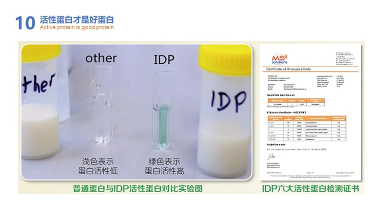 筑夢十年 砥礪前行 愛提力免疫大作戰(zhàn)感恩活動圓滿舉行