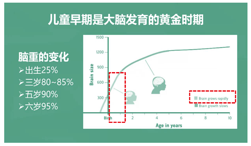 中國腦健康日—關(guān)注兒童大腦健康與智力發(fā)育