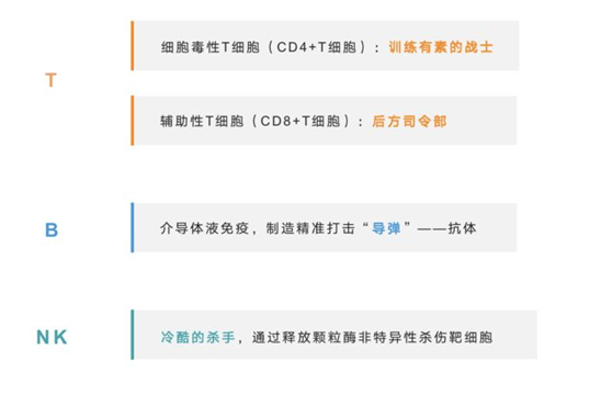 2021世界強化免疫日 | 紐盾帶你認識免疫系統(tǒng)的構(gòu)成