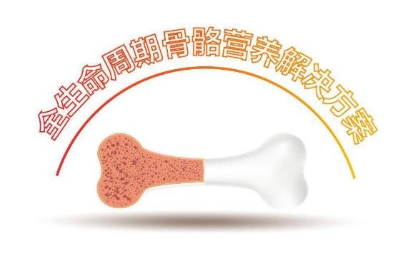 從百立樂維生素AD到CBPS，論全生命周期骨骼健康營養(yǎng)方案